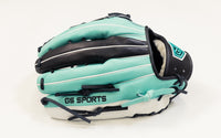 GS Sports Pro Series H Web Ball Glove - Mint Black